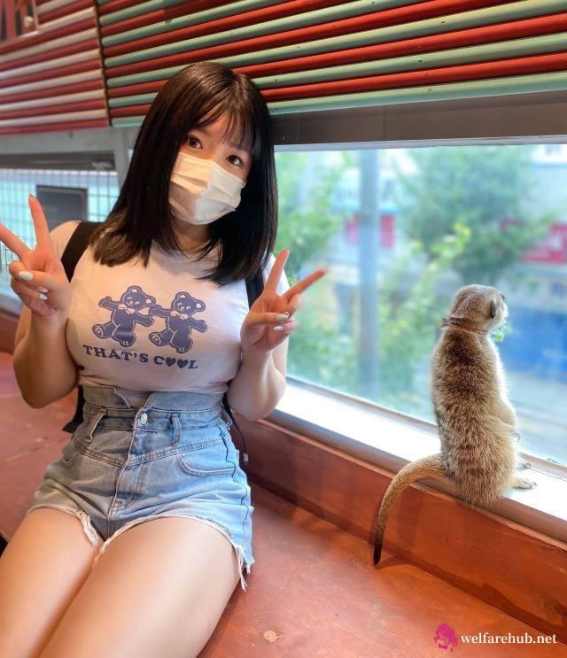 91破解官网免费！达沃斯论坛特朗普